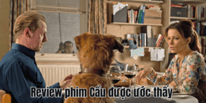 Review phim Cười Xuyên Biên Giới – Hành Trình Hài Hước Vượt Rừng Amazon Đến Seoul